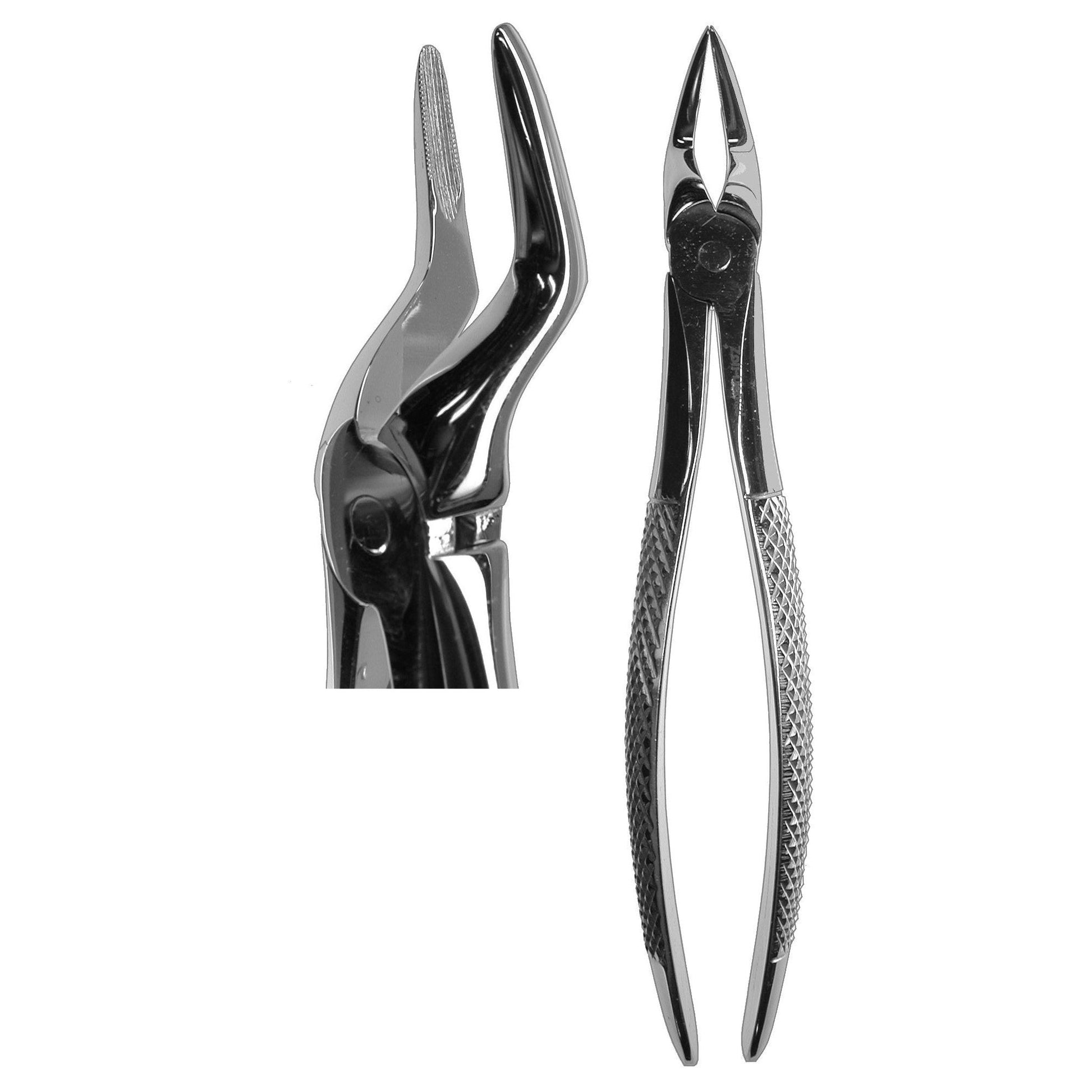 #51 Root Forceps  (Z-1054)