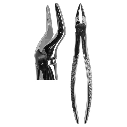 #51 Root Forceps (Z-1054)