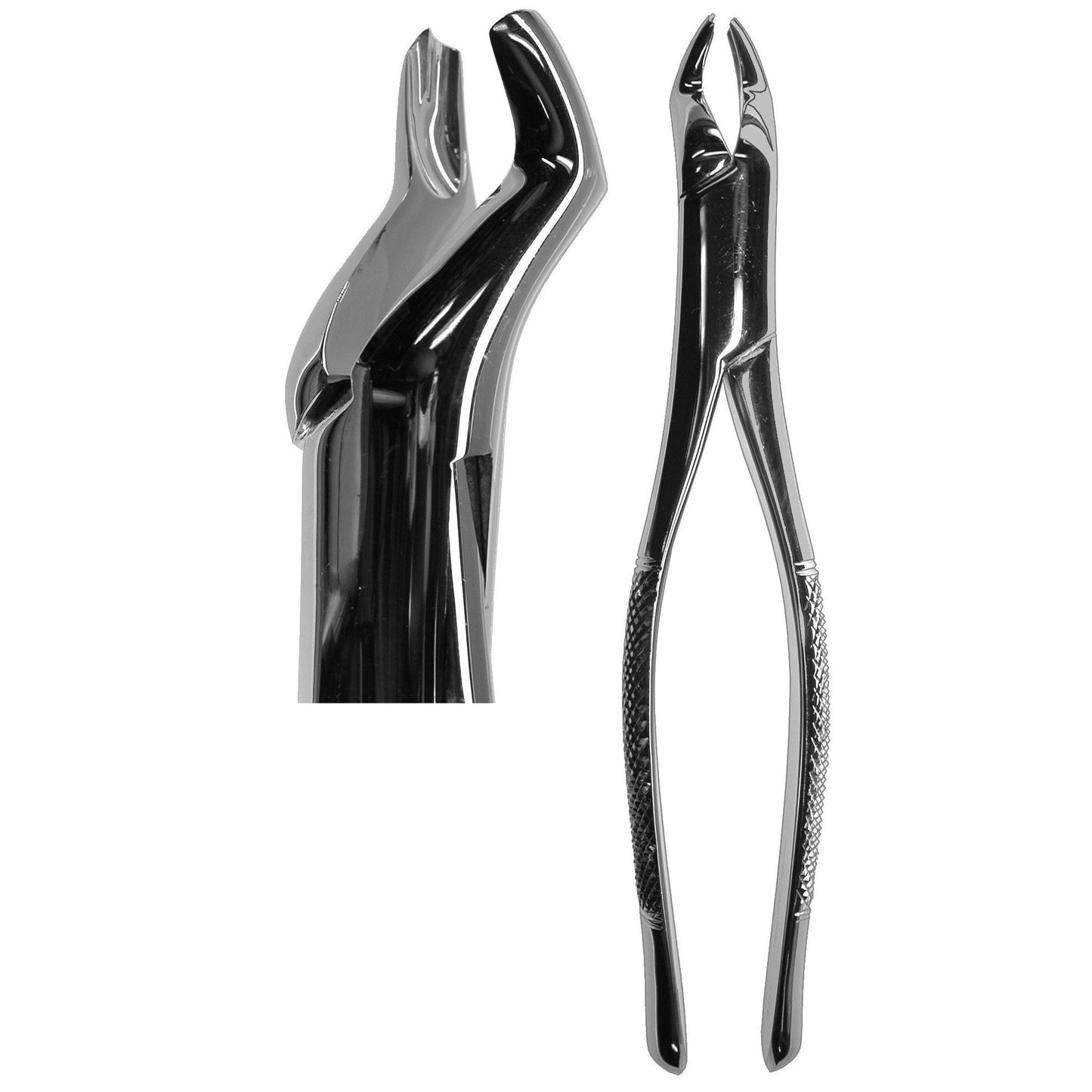 #53R Forceps  (Z-1176)