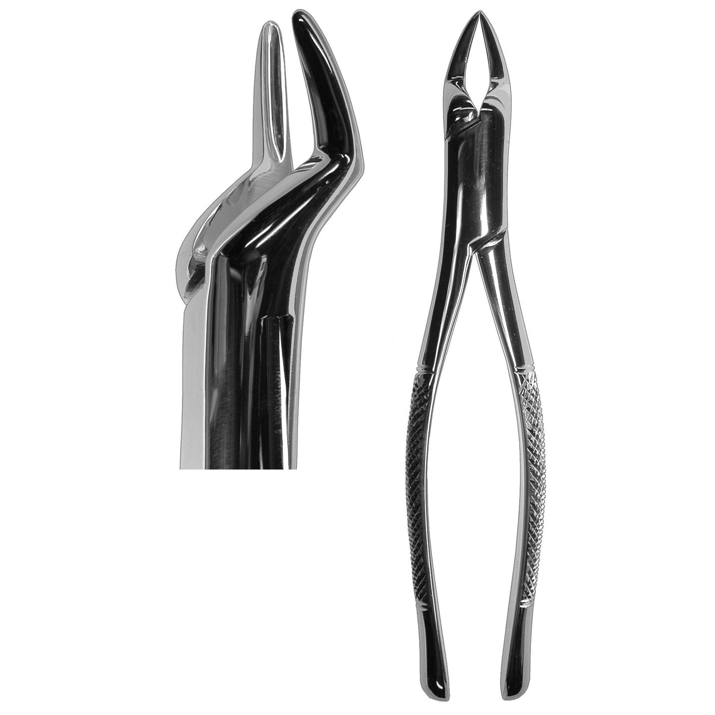 #65 Root Forceps  (Z-1179)