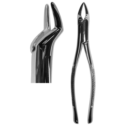 #65 Root Forceps (Z-1179)