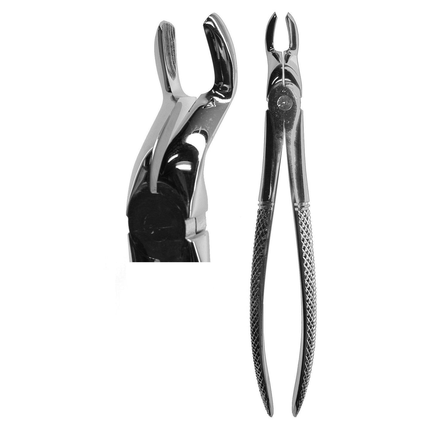 #67A English Forceps  (Z-1069)