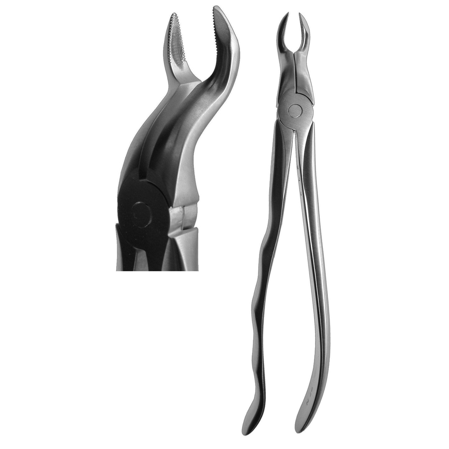 #67N English Forceps (Profile Handle)  [Z-2209]