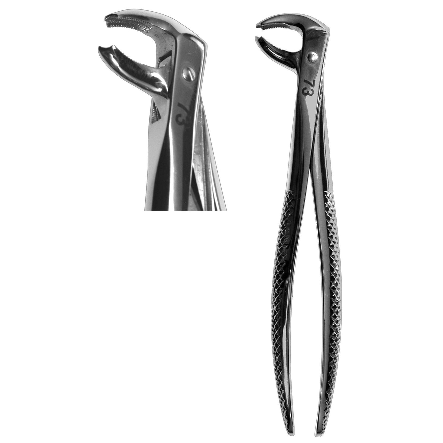 #73 English Forceps  (Z-1121)