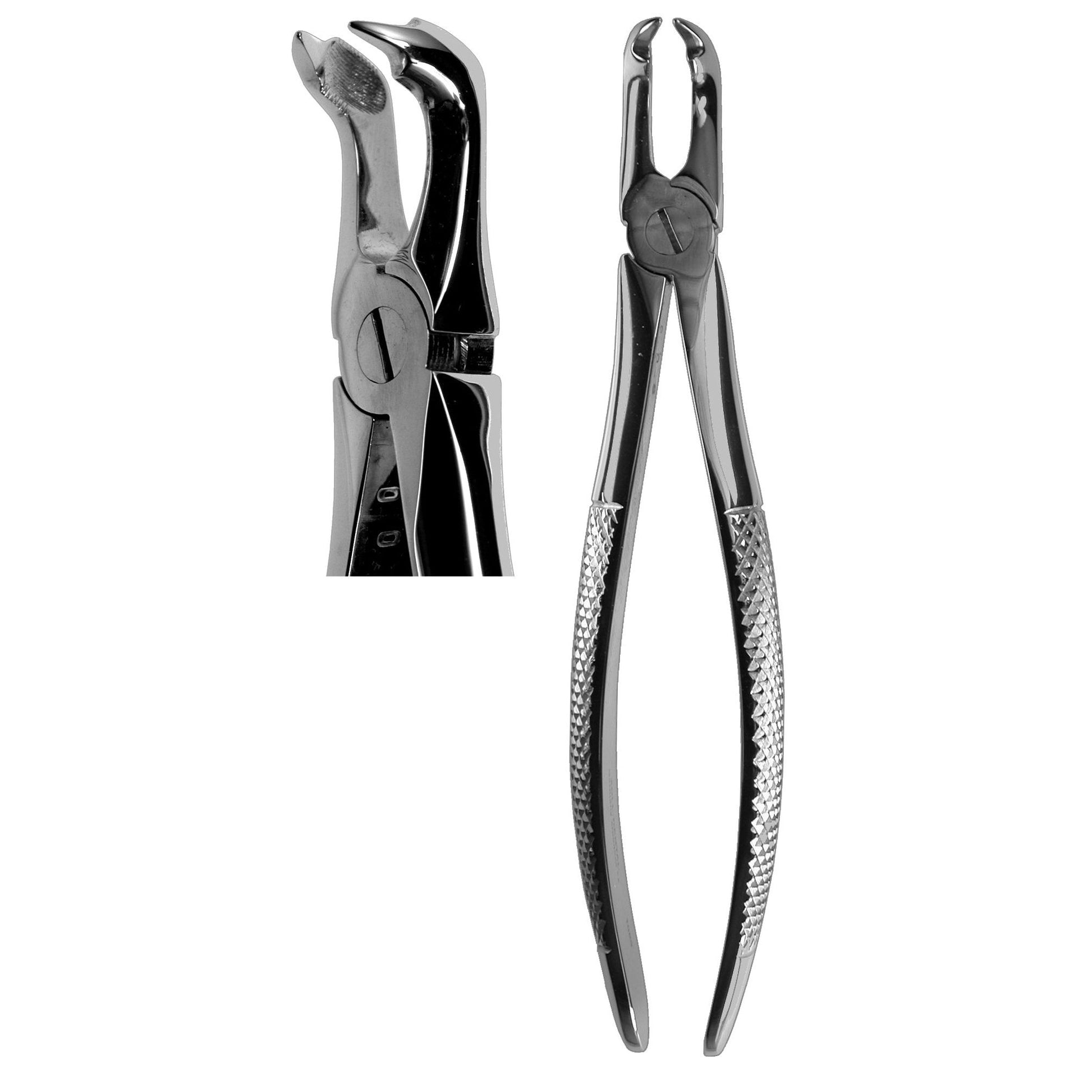 #79C English Forceps  (Z-1083)