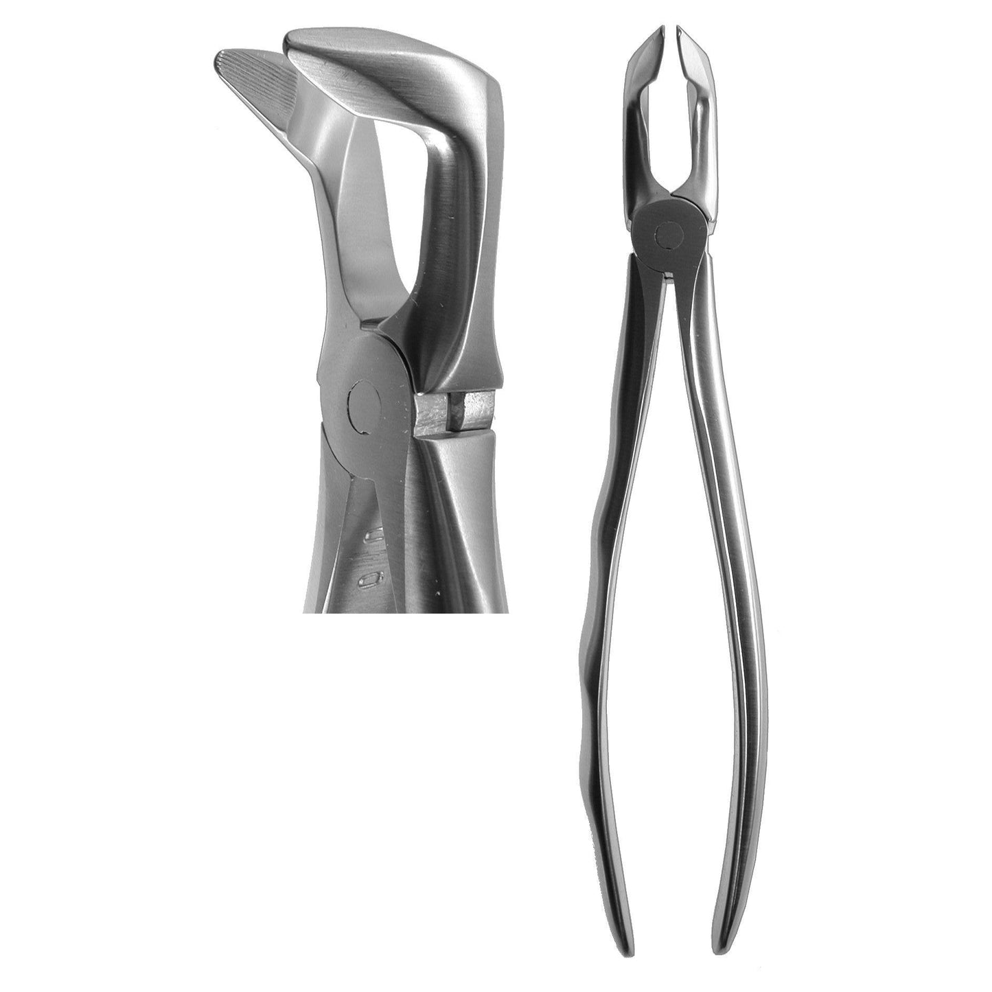 #79N English Forceps (Profile Handle)  [Z-2210]