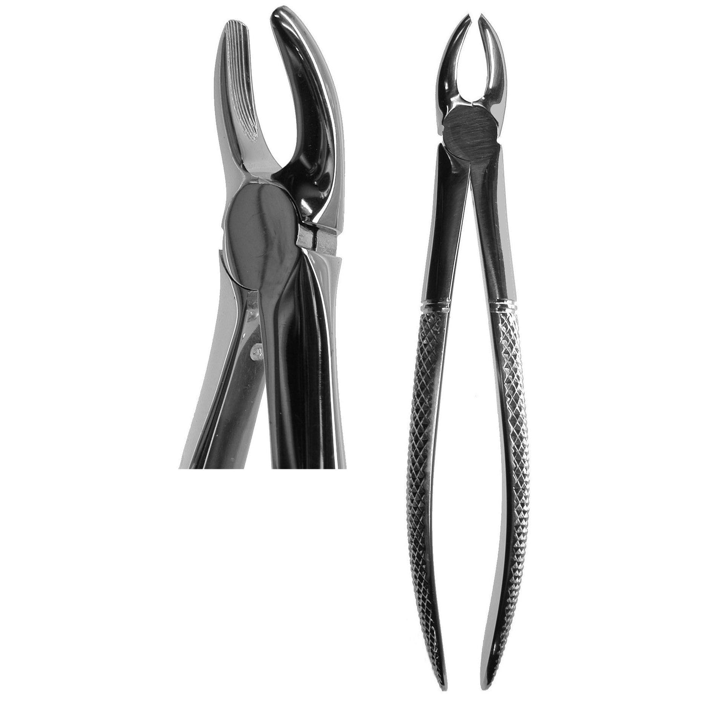 #7 English Forceps  (Z-1006)