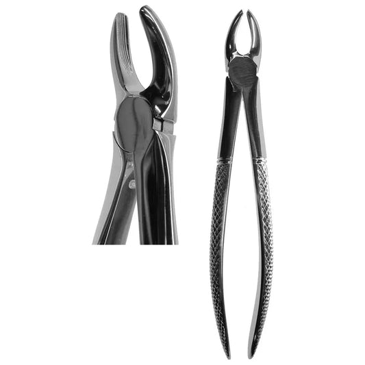 #7 English Forceps (Z-1006)