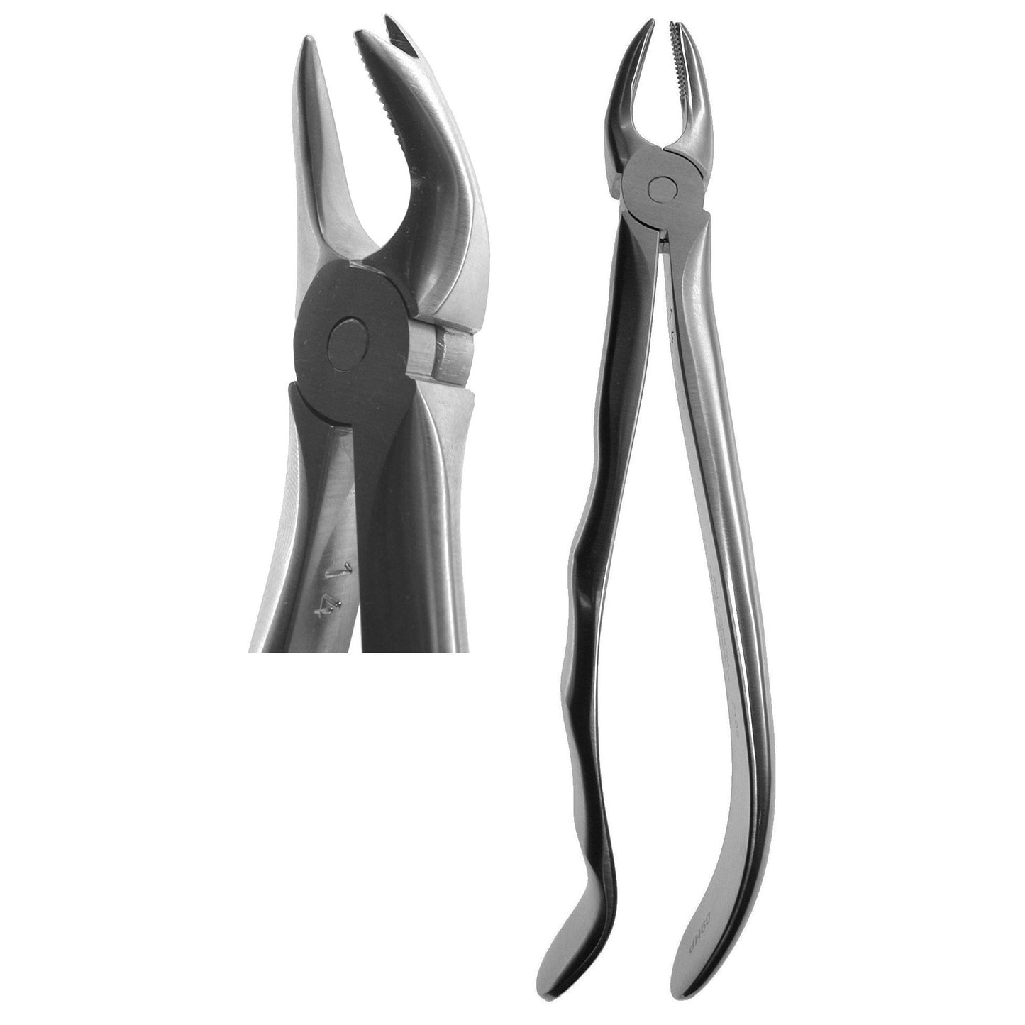 #89HP (66R) English Forceps (Profile Handle)  [Z-2105]