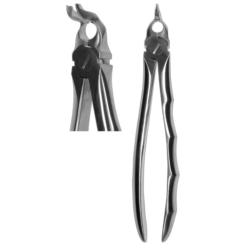 Comella Forceps (Z-1377)
