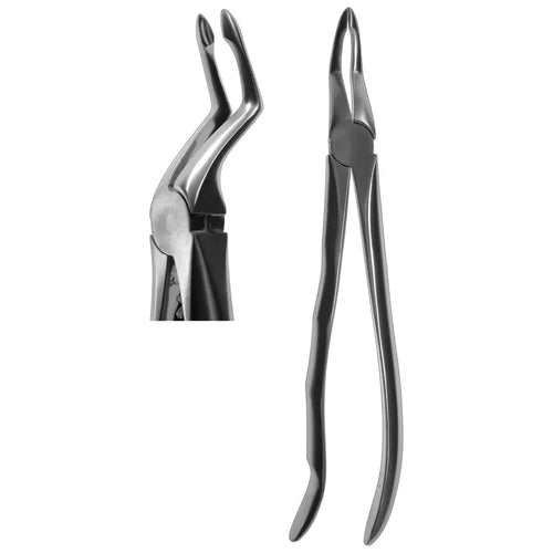 Forceps, #51P Root (Profile Handle) [Z-8026P]