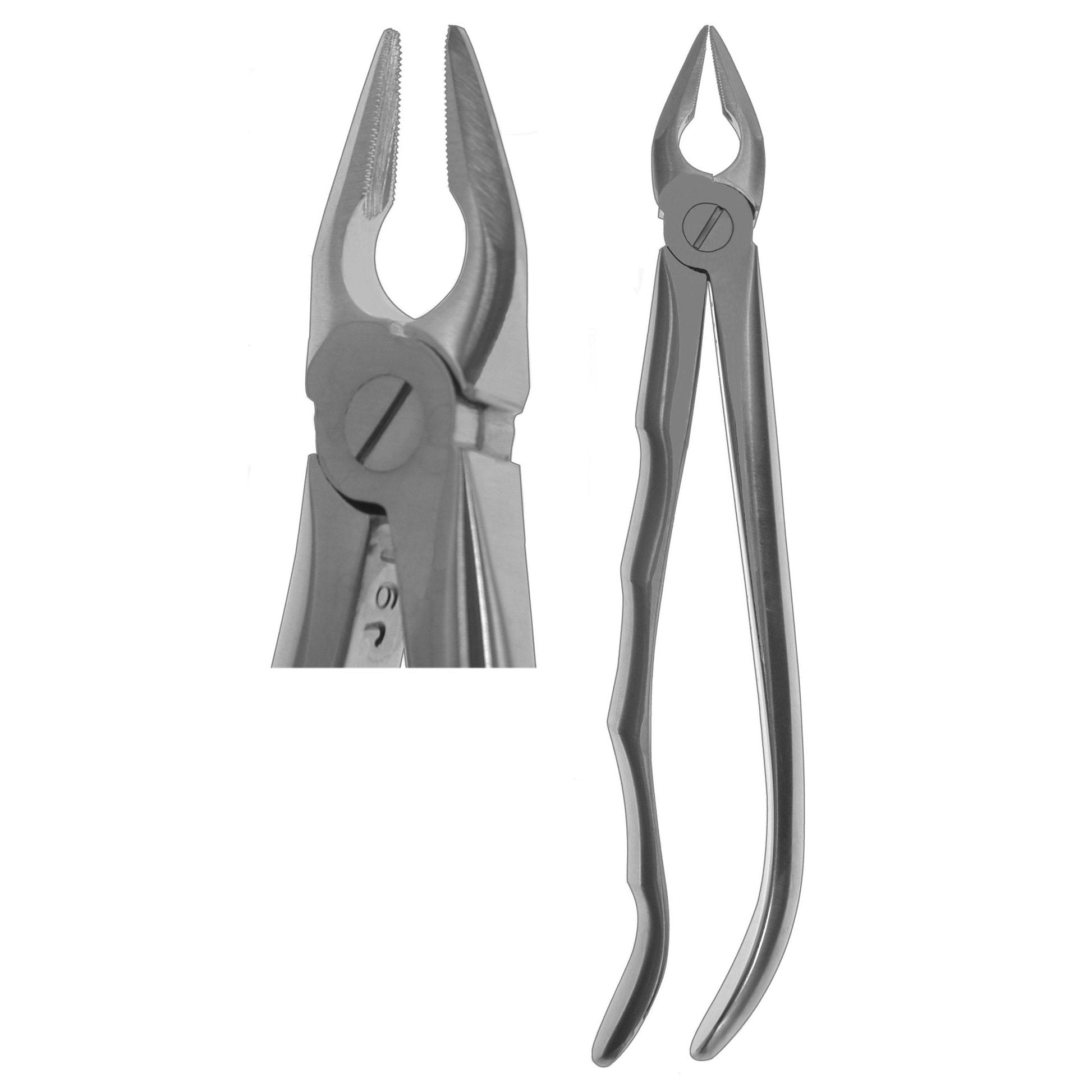 #34N English Forceps (Profile Handle)  [Z-2030]