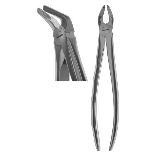 #8N English Forceps (Profile Handle) [Z-2032]