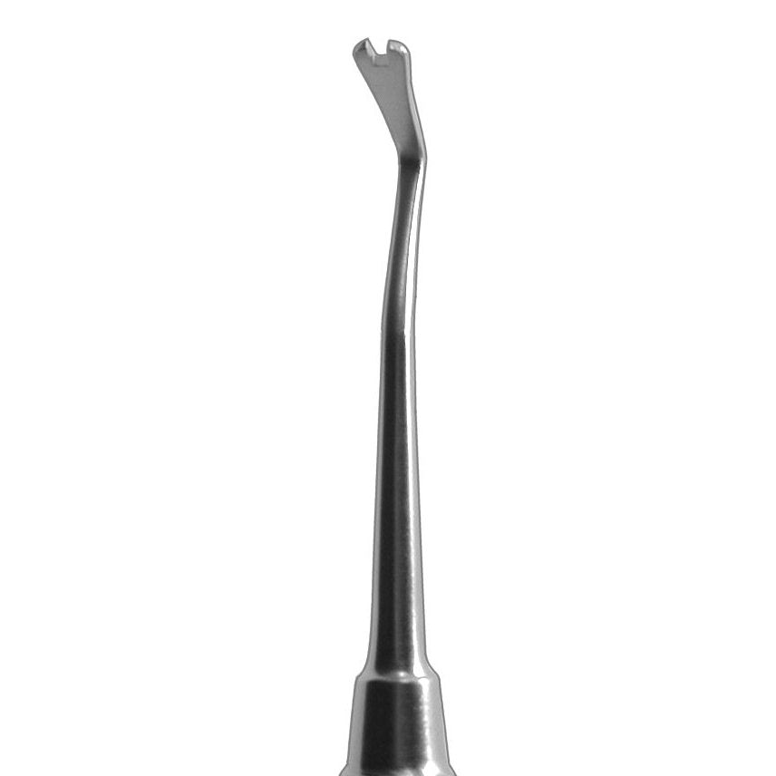 Ligature Director  (Z-9975)