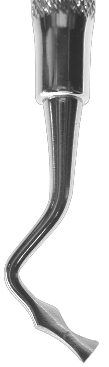 Ochsenbein #4