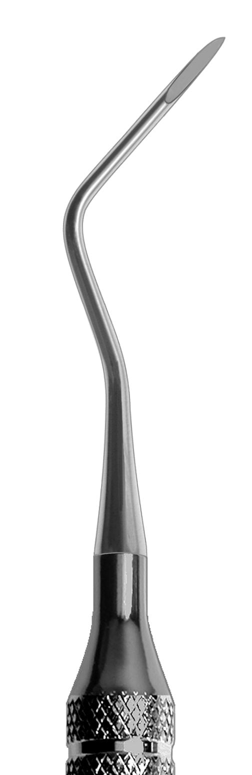 #9L Apical