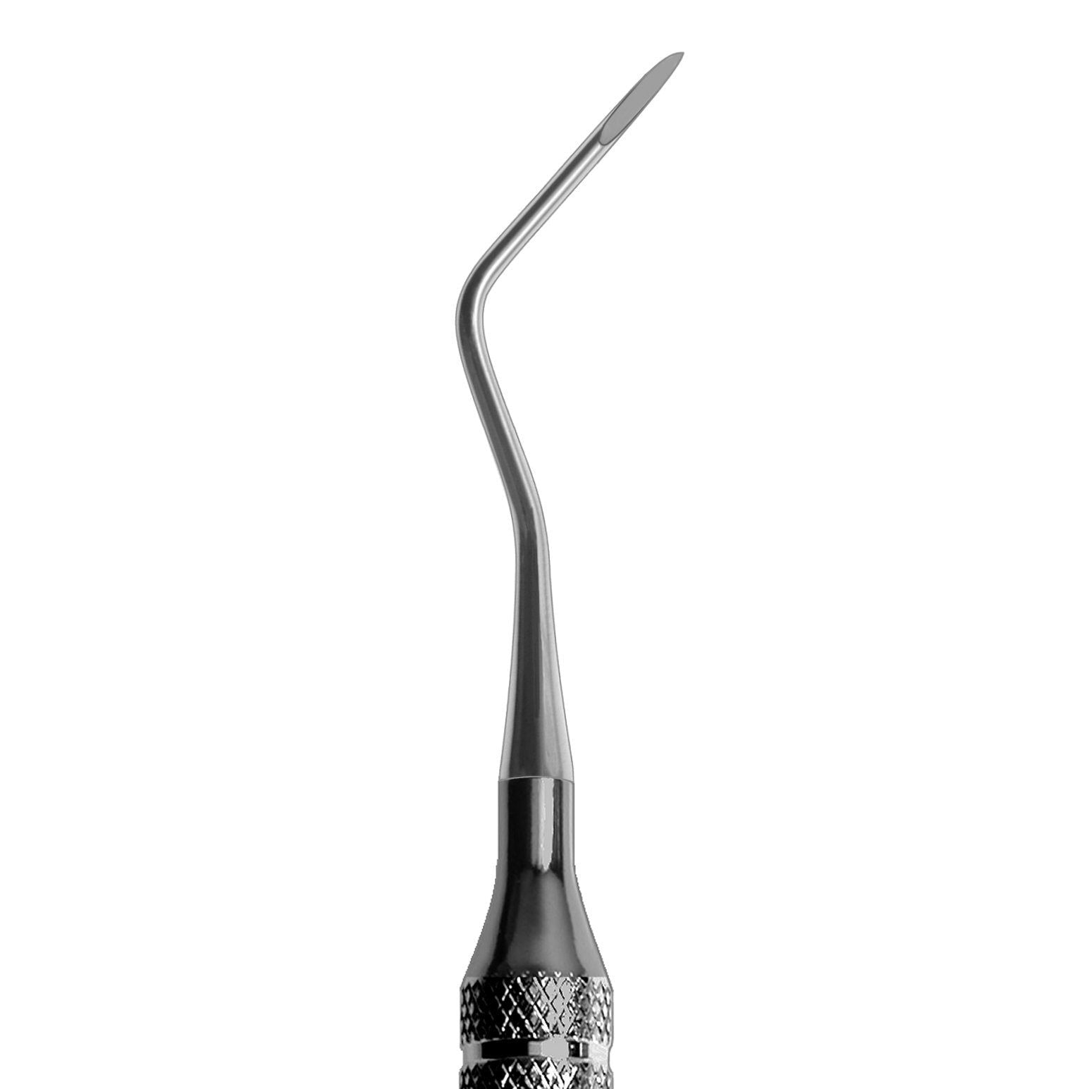 #9L/9R Apical