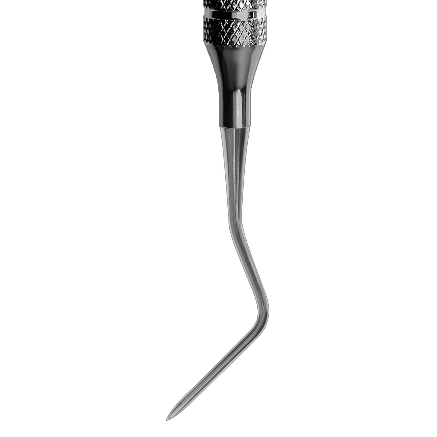 #9L/9R Apical