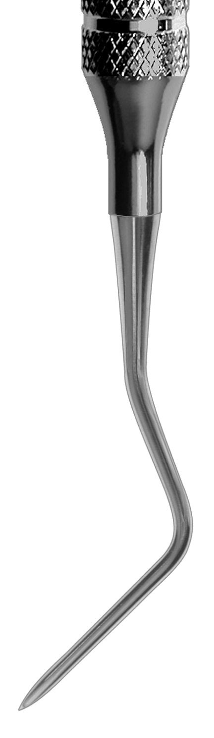 #9L/9R Apical