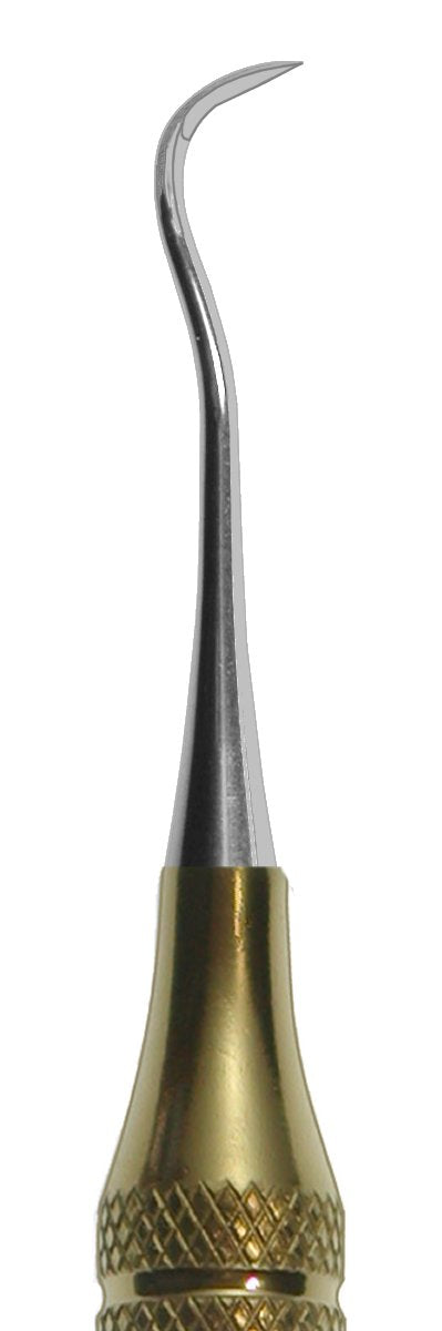 #204S Titanium