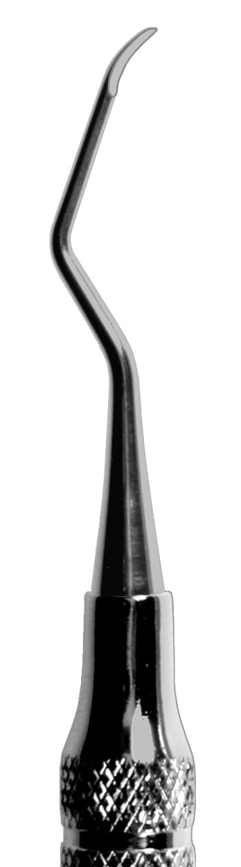 Columbia #2R/2L