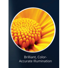 Medical Illumination MI 300, Portable, 61223