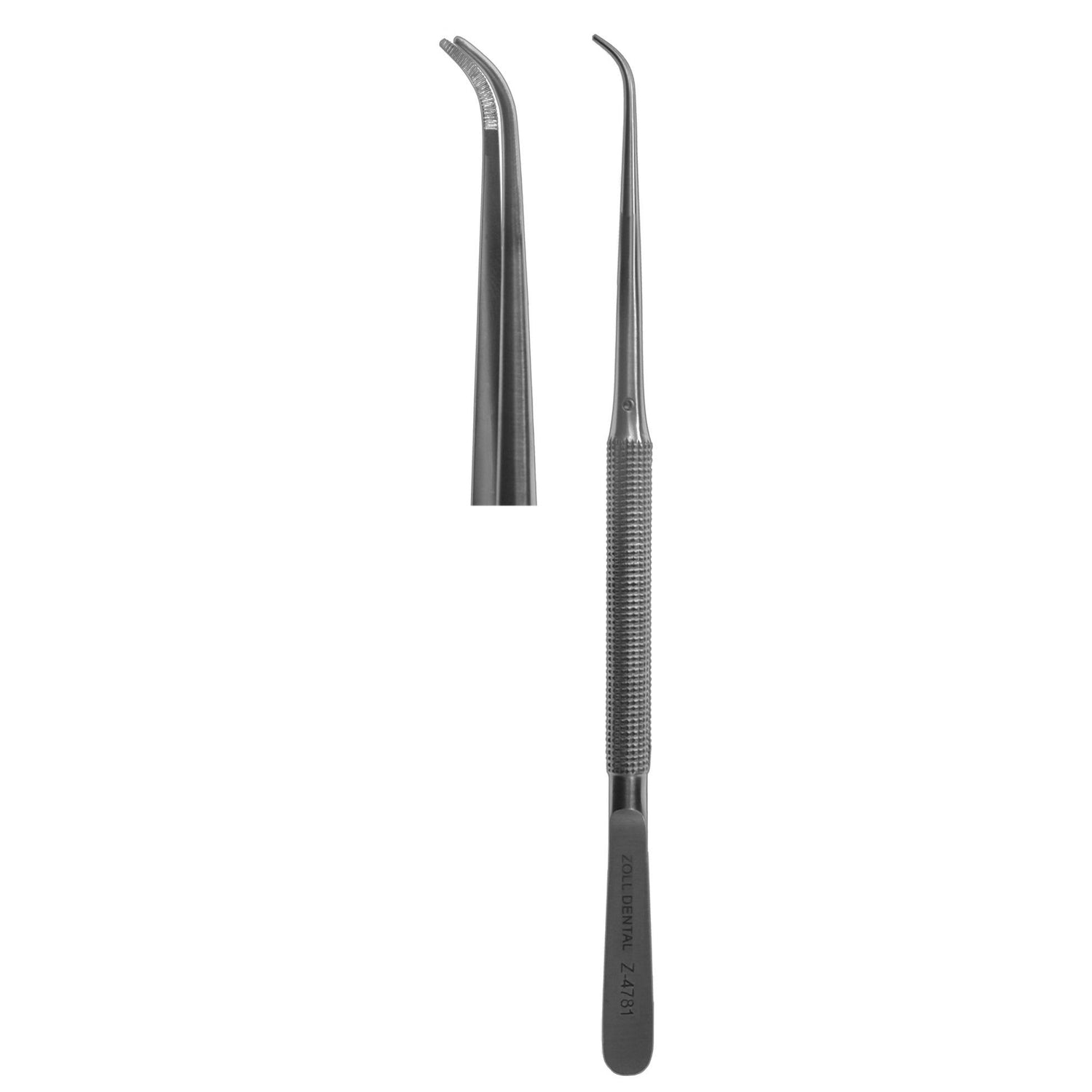 Tissue Forceps, Round Handle Curved Serrated 18cm  (Z-4781)