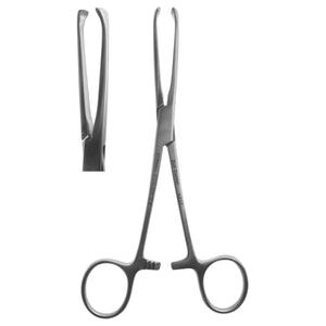 Tissue Forceps, Allison-Straight 15cm (Z-5237)