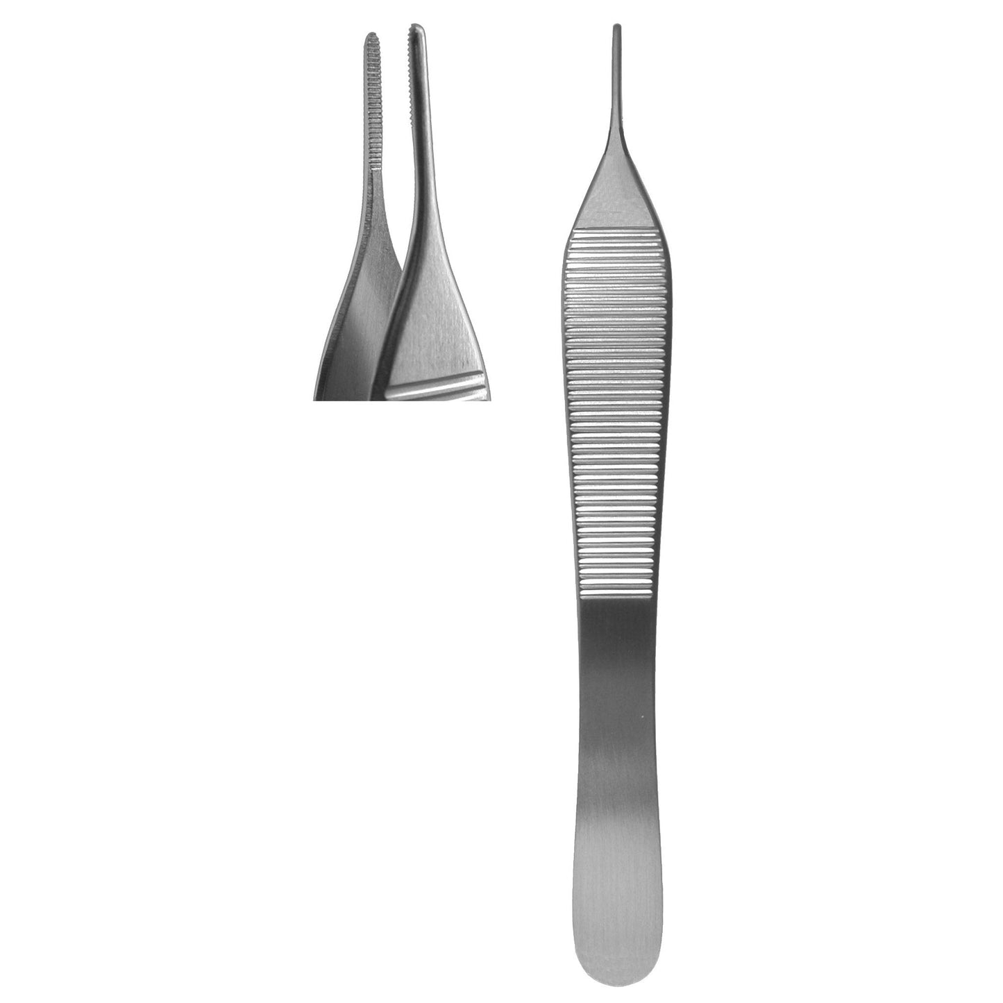 Tissue Forceps, Adson Straight Serrated 12cm  (Z-4144)