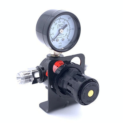 Pressure Regulator, P-232