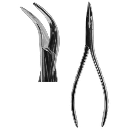 #300 Root Forceps