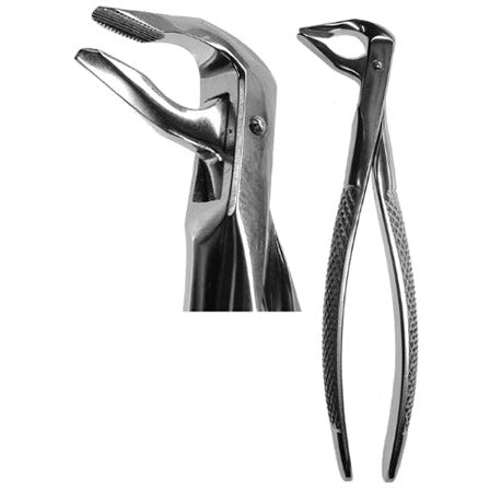 #36N Forcep English