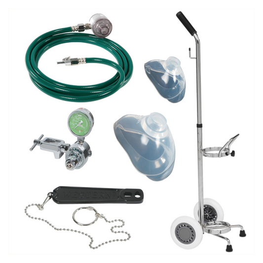 Portable Demand Valve System (for O2 E-Cylinder), E200