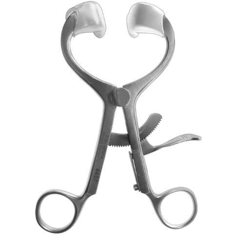 Mouth Gag, Molt Adult