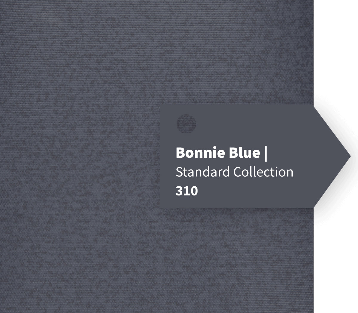 Bonnie Blue