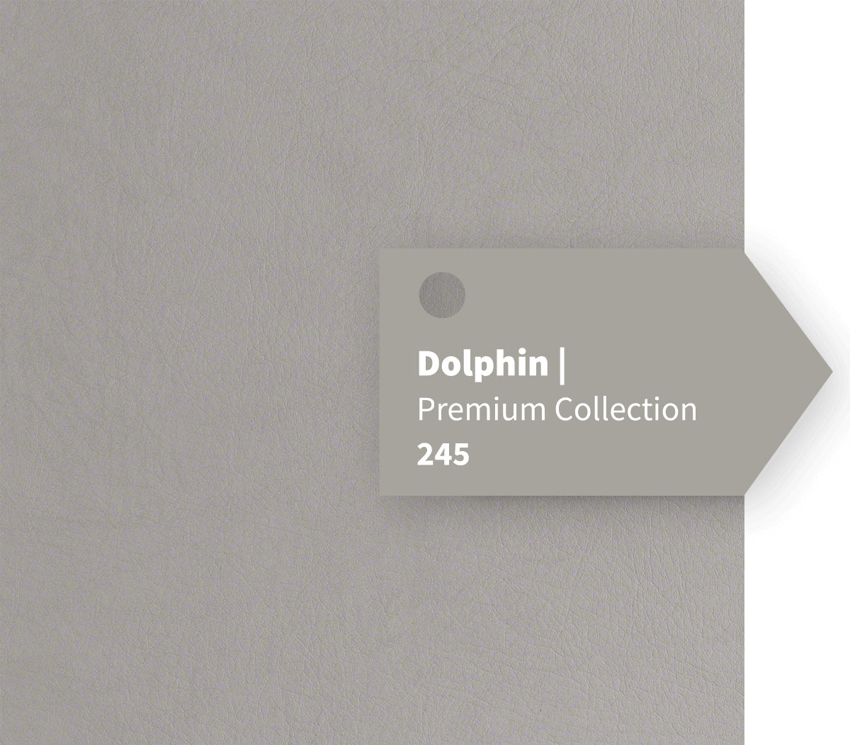 Dolphin