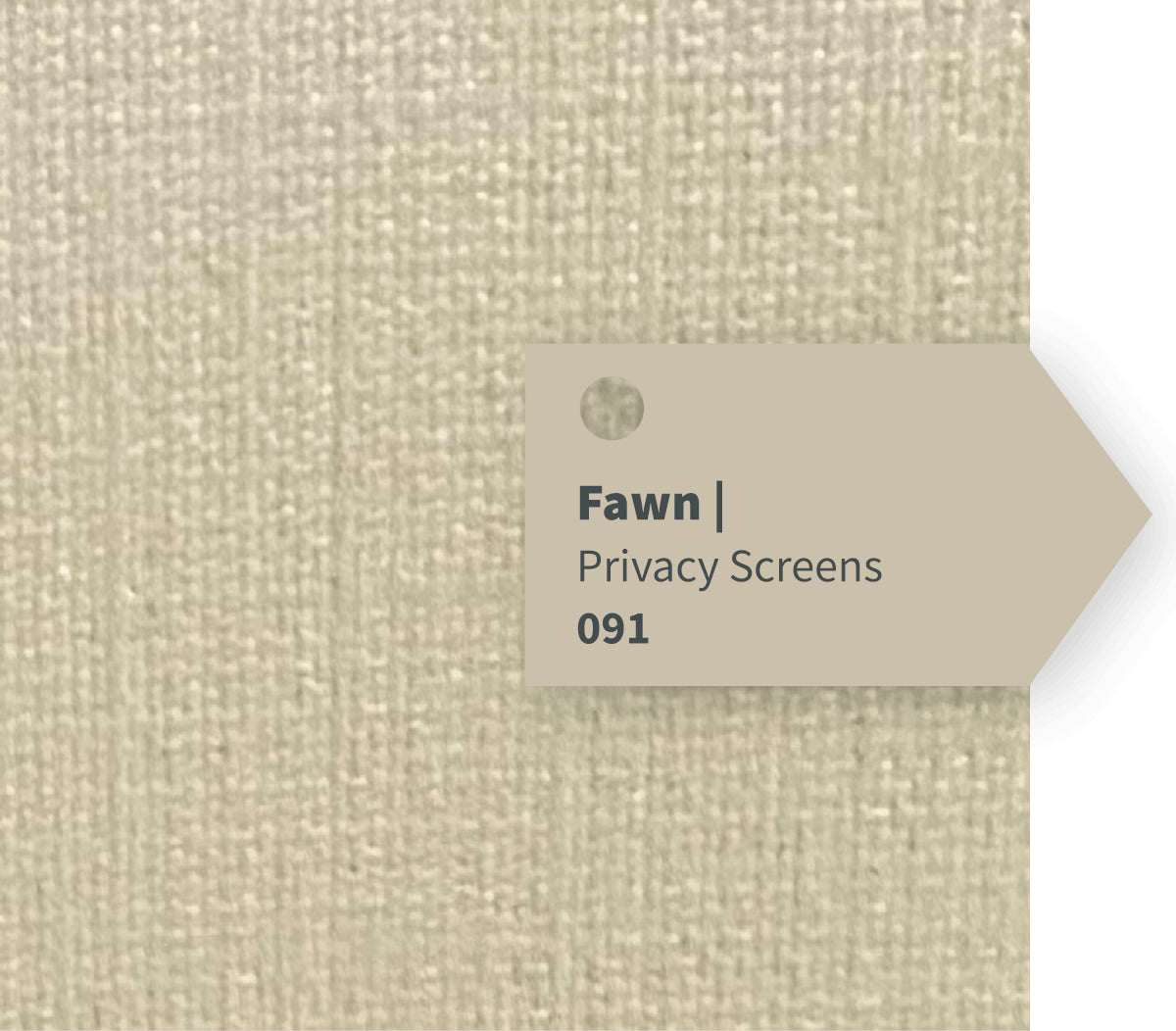 Fawn