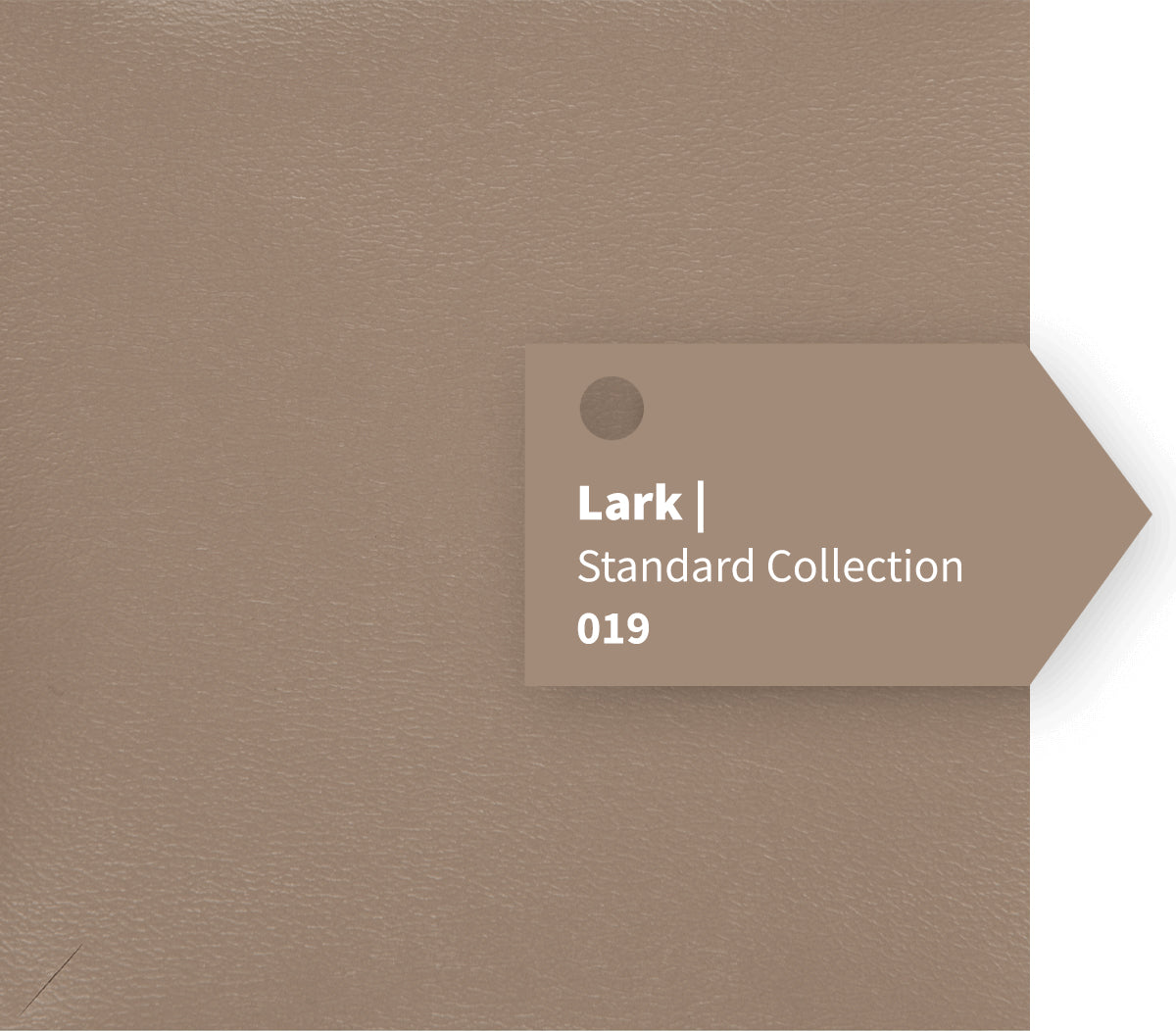 Lark