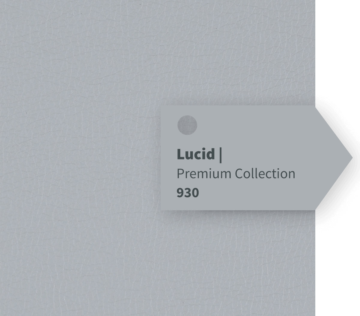 Lucid
