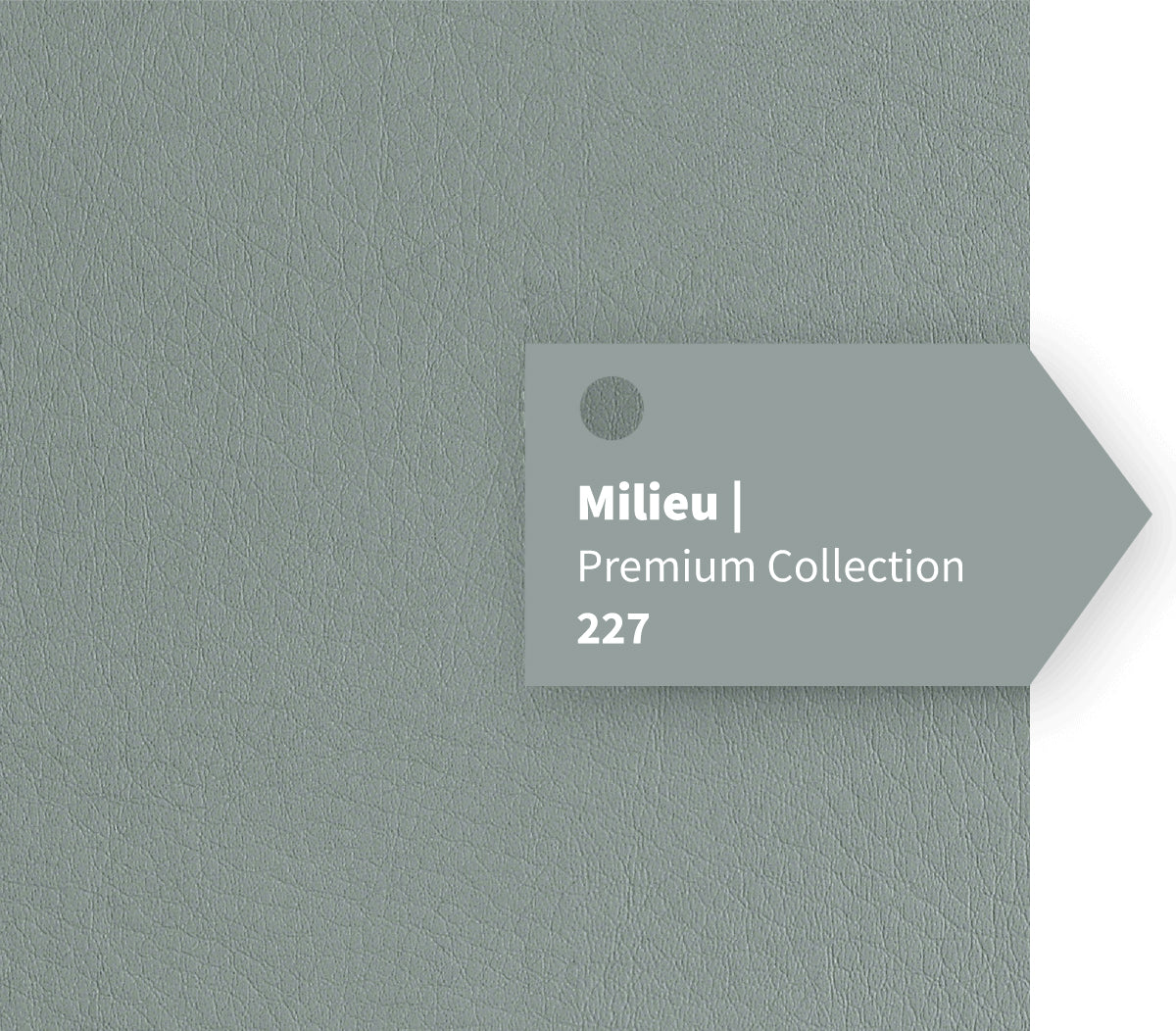 Milieu