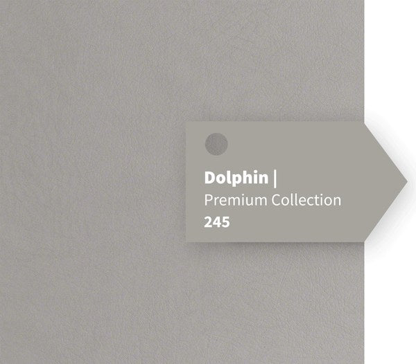 Dolphin