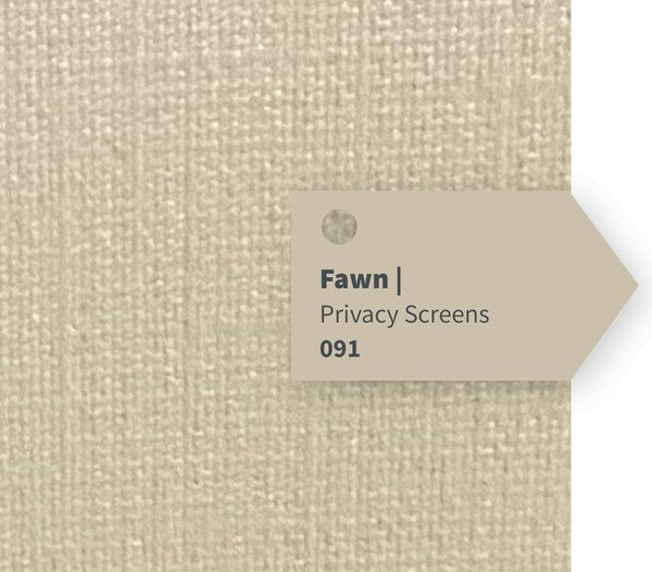 Fawn