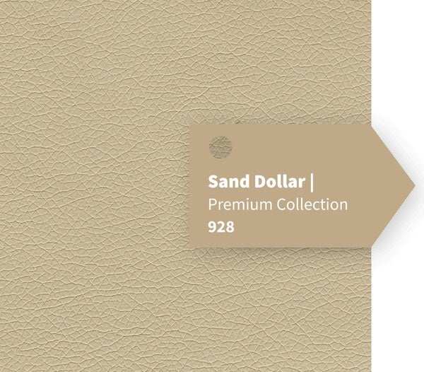Sand Dollar