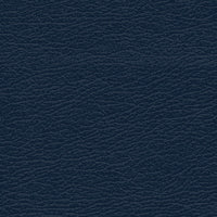 
Diplomat Blue